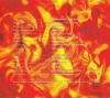 Artistes variés - Pamplemousse: l'album en vie 2005 (intérieur B)